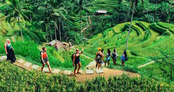 اندونيسيا جاكرتا بالي جاوة عروض سفر