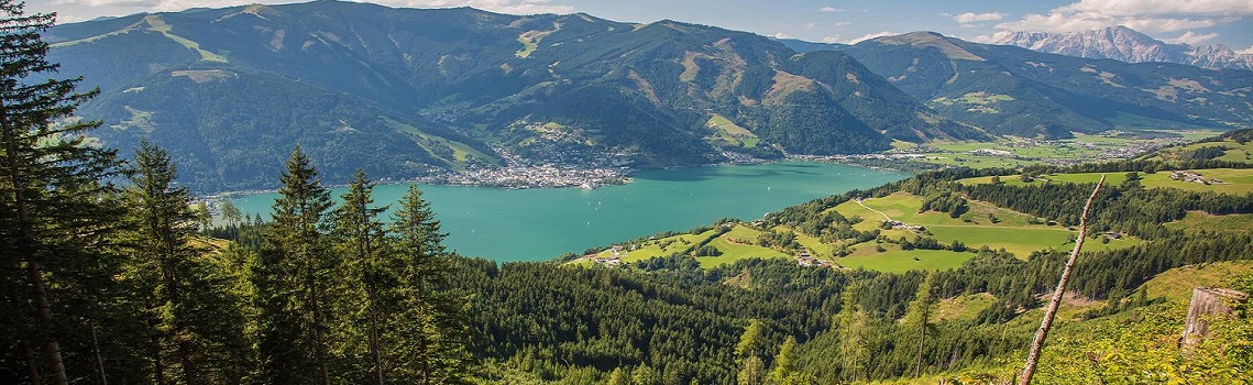 زيلامسي تسيل ام زي زيل لام سي