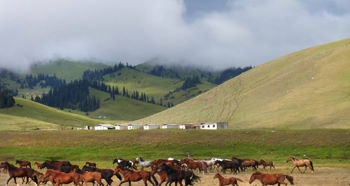 عروض سفر كازاخستان