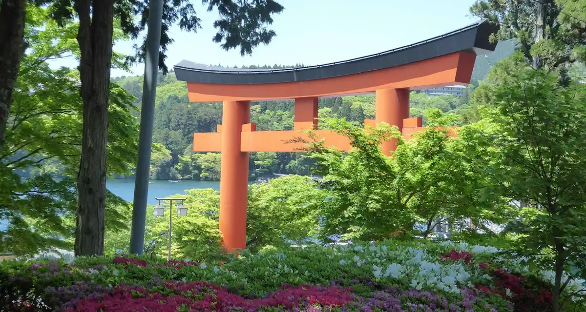 طوكيو اليابان في 3 ايام هاني ترفل