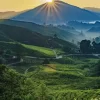 ماليزيا 9 ايام كوالالمبور الى بينانج